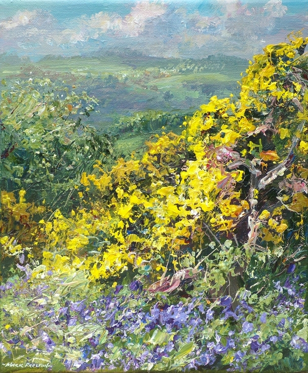 Mark Preston - gorse and bluebells, ashleyhay